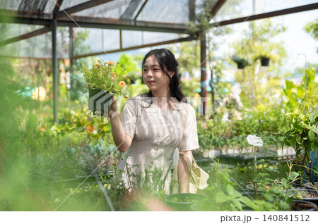 Happy asian woman visitor admiring a hanging plant while walking in greenhouse nursery garden center Happy asian woman visitor admiring a hanging plant while walking in greenhouse nursery garden center 140841512