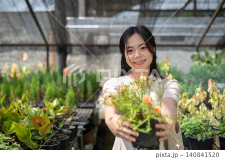 Pretty Asian woman visitor presenting a blooming potted plant in a greenhouse nursery garden center. Pretty Asian woman visitor presenting a blooming potted plant in a greenhouse nursery garden center. 140841520