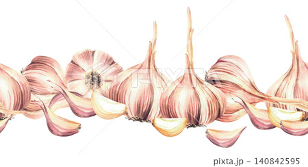 Watercolor Garlic seamless border. Plant's with stem, whole bulbs and cloves, fragrant vegetables food hot seasoning. Hand painted illustration isolated from background for packaging, kitchen pattern. Watercolor Garlic seamless border. Plant's with stem, whole bulbs and cloves, fragrant vegetables food hot seasoning. Hand painted illustration isolated from background for packaging, kitchen pattern. 140842595