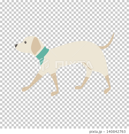歩いている犬の横向きの姿 歩いている犬の横向きの姿 140842763