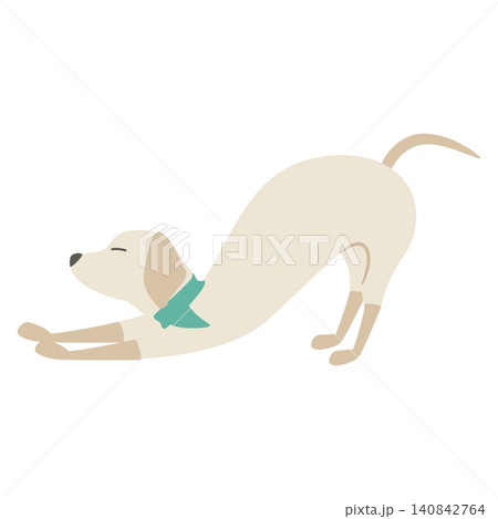 伸びをしている犬 伸びをしている犬 140842764