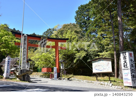 滋賀県大津市 日吉大社の赤鳥居と新緑 滋賀県大津市 日吉大社の赤鳥居と新緑 140843250
