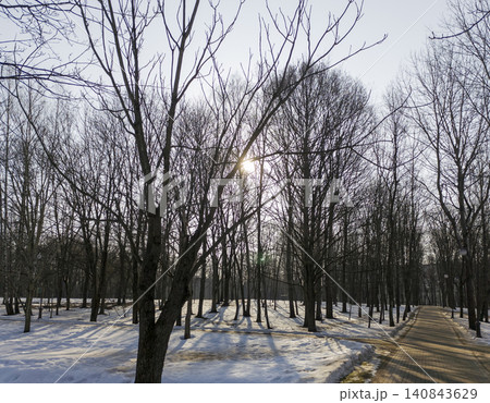 Bare trees stand in winter park with snow on ground. Sunlight filters through branches creating seasonal outdoor landscape. Nature scene reflects cold weather, calm atmosphere, Bare trees stand in winter park with snow on ground. Sunlight filters through branches creating seasonal outdoor landscape. Nature scene reflects cold weather, calm atmosphere, 140843629