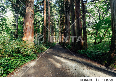 【長野市戸隠】戸隠神社奥社 参道の杉並木の風景 【長野市戸隠】戸隠神社奥社 参道の杉並木の風景 140844096