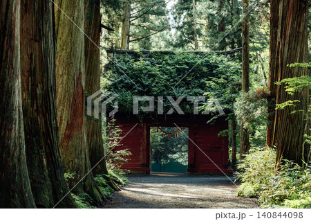 【長野市戸隠】戸隠神社奥社　随神門と杉並木の風景 140844098