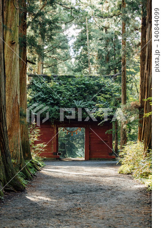 【長野市戸隠】戸隠神社奥社 随神門と杉並木の風景 【長野市戸隠】戸隠神社奥社 随神門と杉並木の風景 140844099