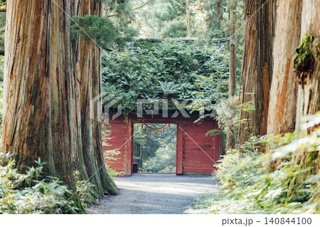 【長野市戸隠】戸隠神社奥社 随神門と杉並木の風景 【長野市戸隠】戸隠神社奥社 随神門と杉並木の風景 140844100