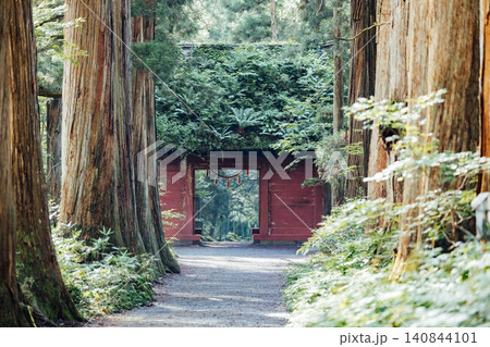 【長野市戸隠】戸隠神社奥社　随神門と杉並木の風景 140844101