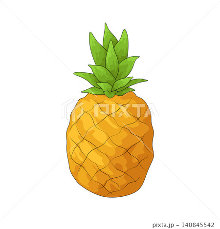 Illustration of Pineapple Illustration of Pineapple 140845542
