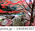 石垣の前の紅葉と落ち葉 140846307