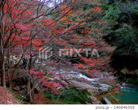 紅葉した木々の間を流れる川 140846308