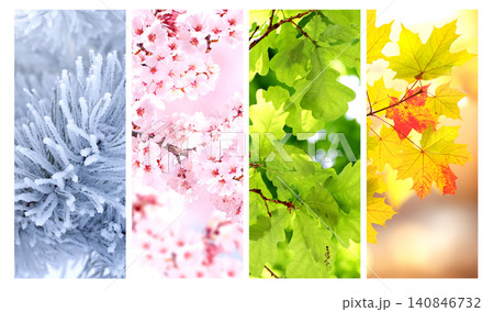 Set of nature banners depicting natural world. Four season of year. Each one features scene of nature, from snow of winter to vibrant leaves of fall. Perfect for showcasing of changing seasons Set of nature banners depicting natural world. Four season of year. Each one features scene of nature, from snow of winter to vibrant leaves of fall. Perfect for showcasing of changing seasons 140846732