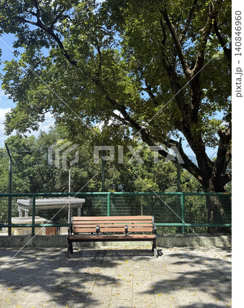 Empty park bench under a large tree with dappled sunlight on the ground Empty park bench under a large tree with dappled sunlight on the ground 140846960