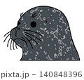 ゼニガタアザラシ 顔(斜め向き) 140848396