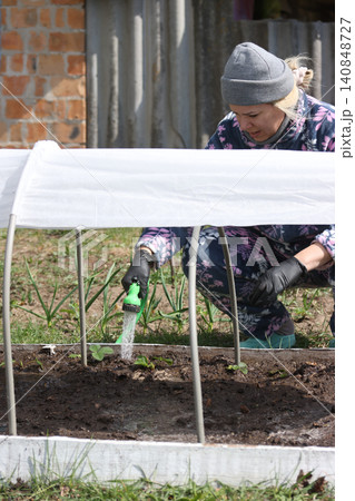 Watering a vegetable garden on a raised bed, water flowing from a hose in a woman's hand, arches and spunbond over the bed Watering a vegetable garden on a raised bed, water flowing from a hose in a woman's hand, arches and spunbond over the bed 140848727