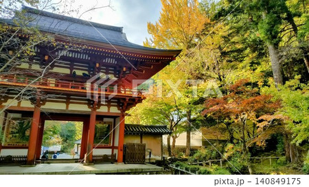朱塗りの楼門と黄金色に輝く銀杏の木が織りなす美しい秋晴れの景色 140849175