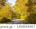 国道103号　蔦温泉から十和田湖へ向かう途中の紅葉 140849467