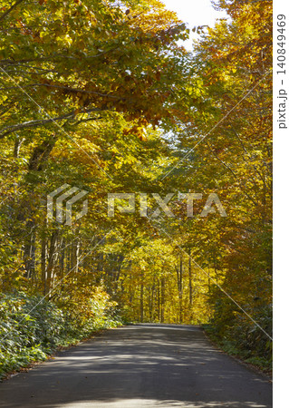 国道103号 秋の紅葉 国道103号 秋の紅葉 140849469