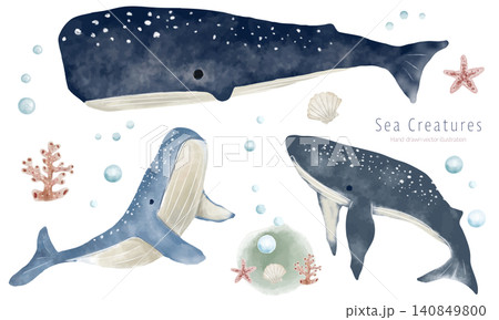 水彩タッチのクジラのイラスト素材セット 水彩タッチのクジラのイラスト素材セット 140849800