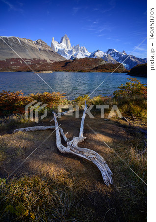 Patagonia mountain lake, snowy peak, blue sky, driftwood scene 140850205