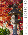 六義園 石灯籠と紅葉 140850480