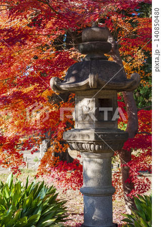 六義園 石灯籠と紅葉 六義園 石灯籠と紅葉 140850480