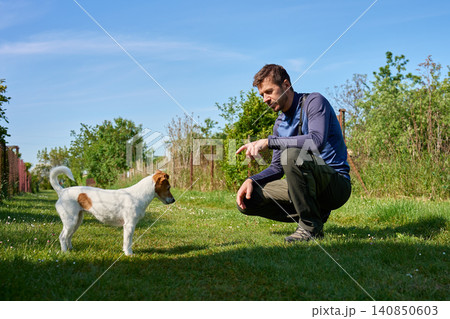 Man teaching Jack Russell terrier command on grassy garden path Man teaching Jack Russell terrier command on grassy garden path 140850603