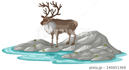 Reindeer Standing on Rocks Near Water Vector Illustration 140851369