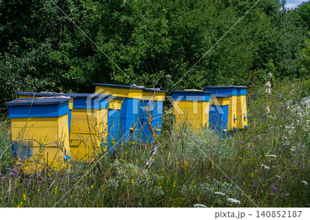 Colorful beehives in a lush meadow during summer surrounded by wildflowers and greenery showcasing bee-keeping practice Colorful beehives in a lush meadow during summer surrounded by wildflowers and greenery showcasing bee-keeping practice 140852187