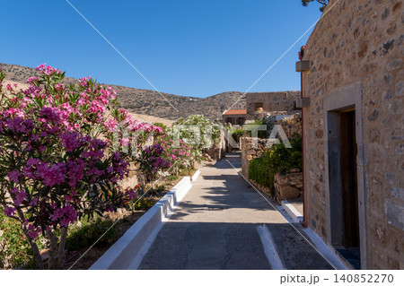 Blooming Pink Oleander Bushes on Spinalonga Island Street Crete Blooming Pink Oleander Bushes on Spinalonga Island Street Crete 140852270
