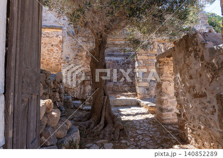 Olive tree growing inside abandoned stone ruins on Spinalonga island Crete Greece Olive tree growing inside abandoned stone ruins on Spinalonga island Crete Greece 140852289