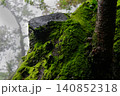 苔に覆われた岩 140852318