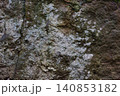 苔むした岩の表面 140853182