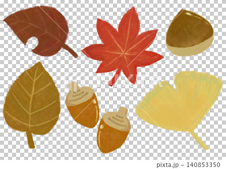 Autumn illustration set Autumn illustration set 140853350