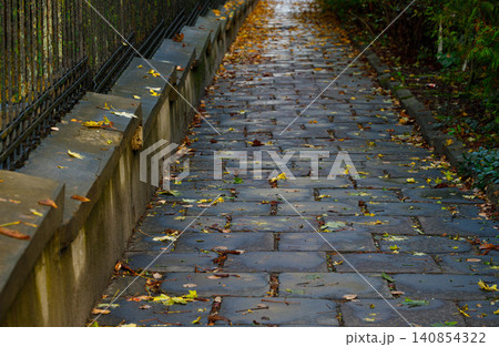 Wet cobblestone path covered in fallen autumn leaves after a rain shower 140854322