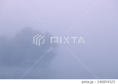 Misty morning landscape with silhouette of trees on the water's edge Misty morning landscape with silhouette of trees on the water's edge 140854325