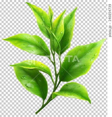 green tea green tea 140854739