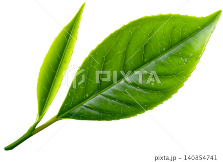 green tea 140854741