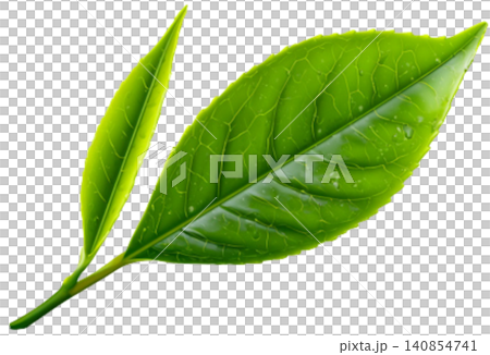 green tea 140854741