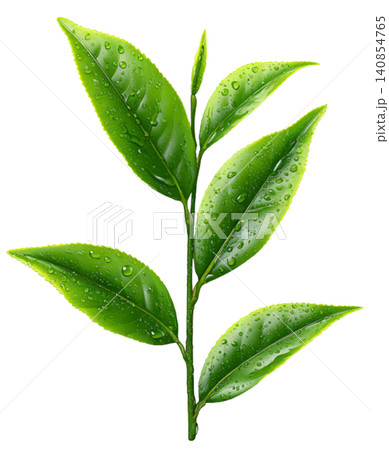 green tea green tea 140854765