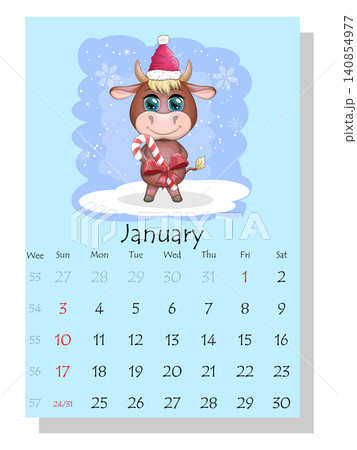 Calendar 2021. Cute bull and cow for every month. Calendar 2021. Cute bull and cow for every month. 140854977