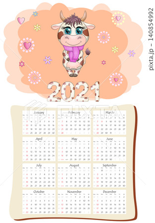 White ox calendar or planner for 2021 with cartoon bull, new year symbol, cover and 12 monthly pages 140854992