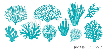 Sea coral reef and ocean seaweed silhouettes, underwater plant icons. Aquarium, ocean and undersea algae water and marine animal life. Set of tropical corals or sea weeds and wracks biodiversity Sea coral reef and ocean seaweed silhouettes, underwater plant icons. Aquarium, ocean and undersea algae water and marine animal life. Set of tropical corals or sea weeds and wracks biodiversity 140855148