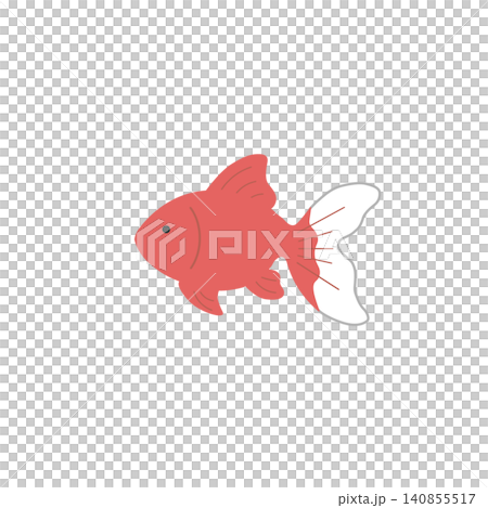 金魚插圖,可愛的向量素材,適用於夏季節日和夏季主題 金魚插圖,可愛的向量素材,適用於夏季節日和夏季主題 140855517
