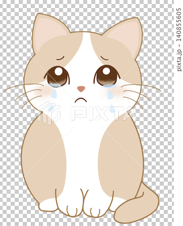 哭泣的貓插圖 哭泣的貓插圖 140855605