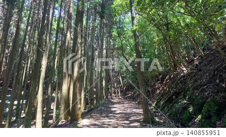 対馬 金田城 登山口付近 対馬 金田城 登山口付近 140855951