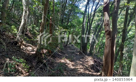 対馬 金田城 東南角石塁から三ノ城戸への登山道 対馬 金田城 東南角石塁から三ノ城戸への登山道 140855964