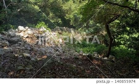 対馬　金田城　南西部石塁 140855974