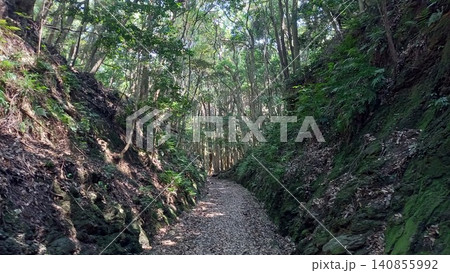 対馬 金田城 登山口付近の下り登山道 対馬 金田城 登山口付近の下り登山道 140855992