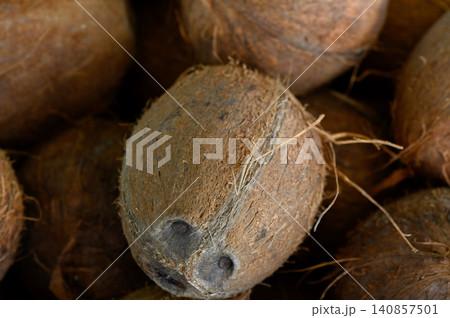 Harvesting natural treasures from tropical groves shows the rich textures and earthy tones of coconuts in a sunlit market Harvesting natural treasures from tropical groves shows the rich textures and earthy tones of coconuts in a sunlit market 140857501